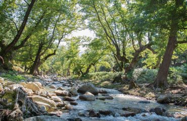 activities in alexandroupoli - Light House Hotel