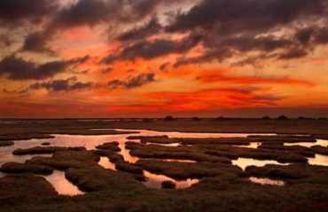 Evros Delta - Light House Hotel