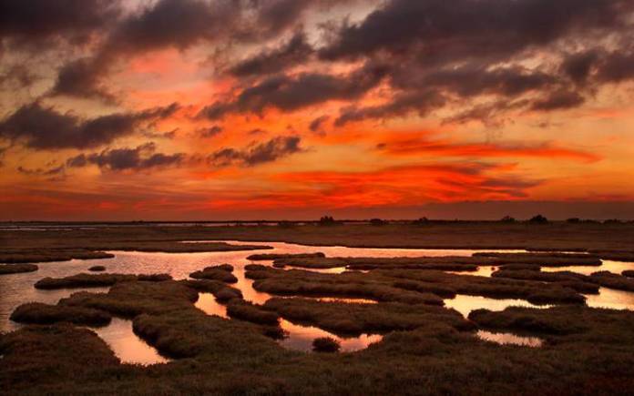 Evros Delta - Light House Hotel